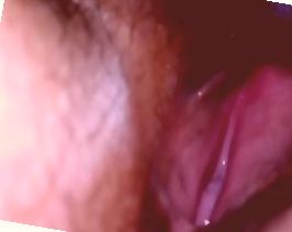 99在线精品一区二区三区,国产精品高潮呻吟久久āV无码