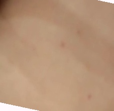 精品一区二区成人精品,色综合色综合久久综合频道88