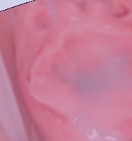 久久国产免费观看精品3,久久精品卫校国产小美女