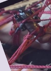 中文字幕久久精品一区,亚洲最大无码中文字幕