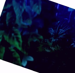 欧美日韩精品中文字幕,欧美成人精品视频在线